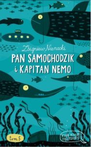 pan samochodzik